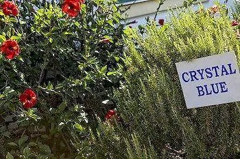 Apart Otel Crystal Blue Hotel,
